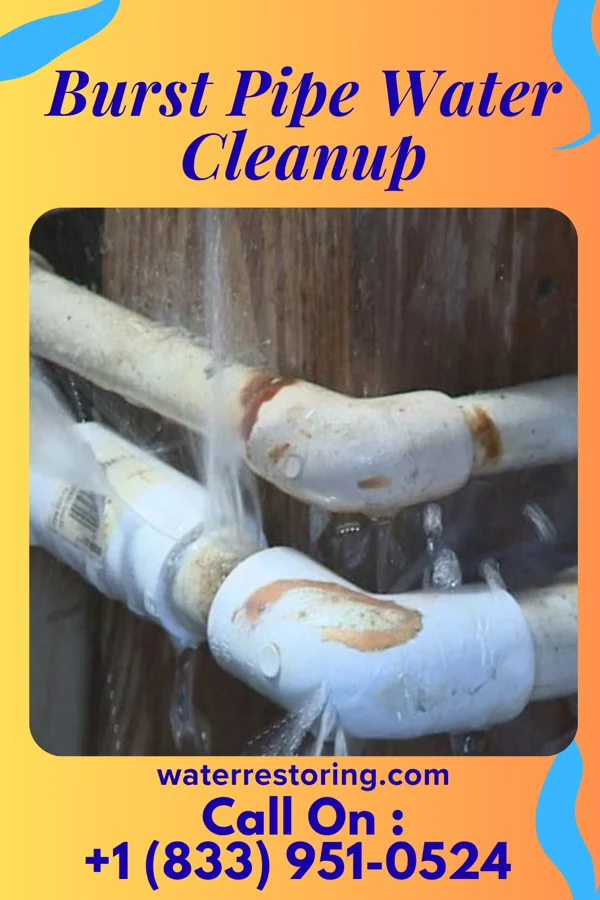 Burst Pipe Water Cleanup in Overland Park, KS