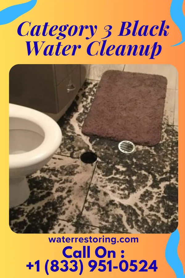 Category 3 Black Water Cleanup in Overland Park, KS