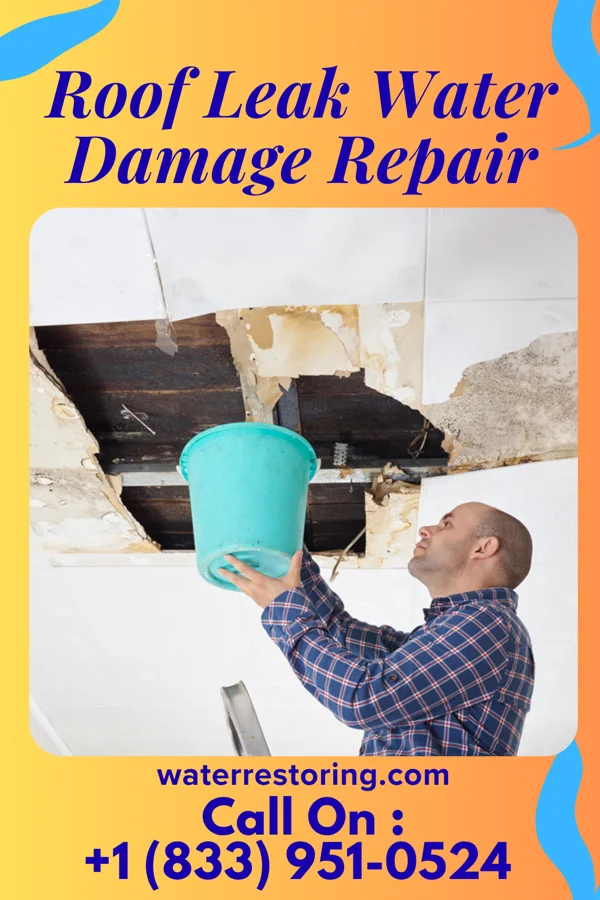 Roof Leak Water Damage Repair in Overland Park, KS